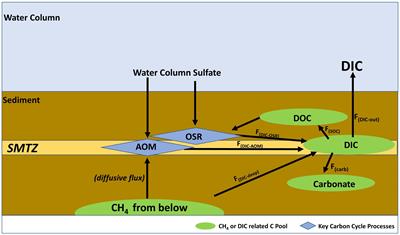 Dissolved Inorganic Carbon Pump in Methane-Charged Shallow Marine Sediments: State of the Art and New Model Perspectives